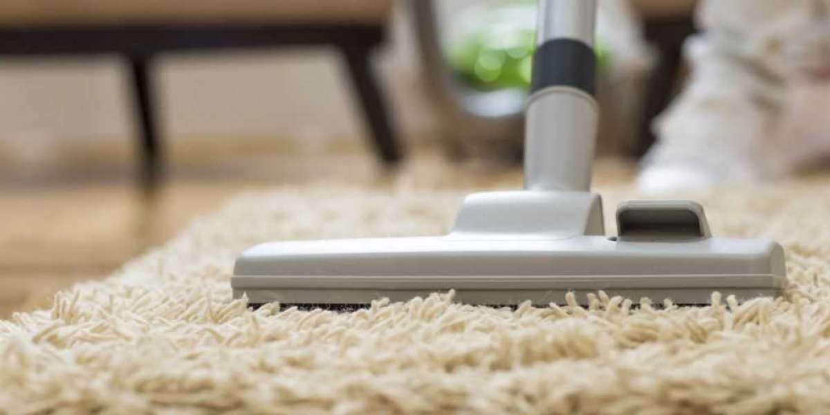 Can Natural Remedies Tackle Pet Stains on Rugs? San Jose's Green Solutions